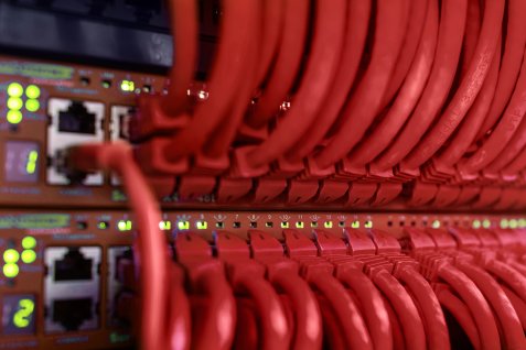 Изглед от два червени сървърни кабела.